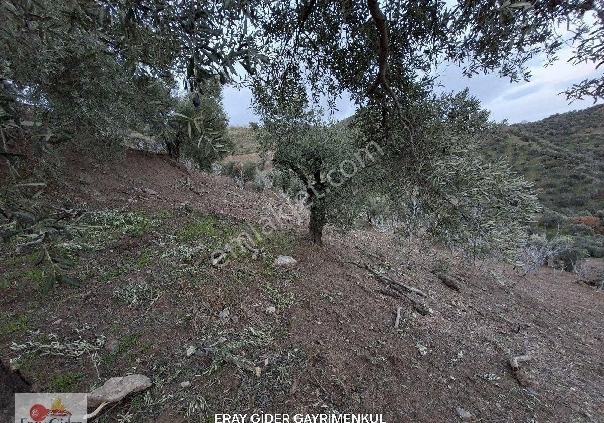 Manzaralı-komple Yol Cepheli Komple Bakımlı İncirlik - Görsel 29