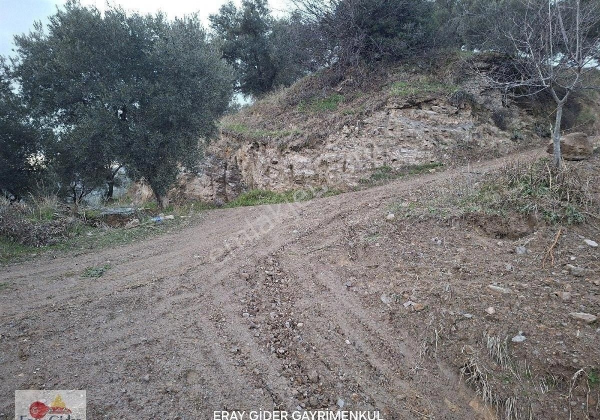 Manzaralı-komple Yol Cepheli Komple Bakımlı İncirlik - Görsel 11