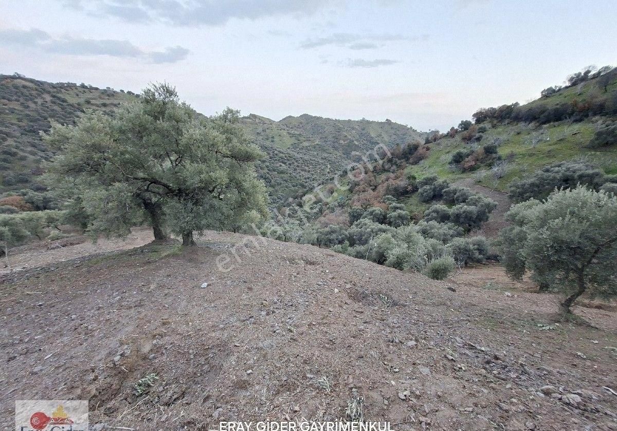 Manzaralı-komple Yol Cepheli Komple Bakımlı İncirlik - Görsel 18