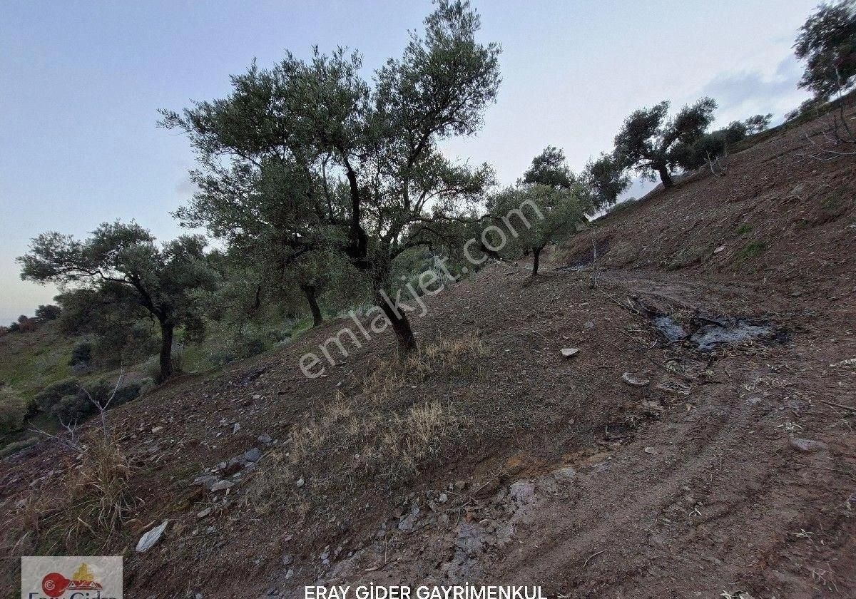 Manzaralı-komple Yol Cepheli Komple Bakımlı İncirlik - Görsel 9