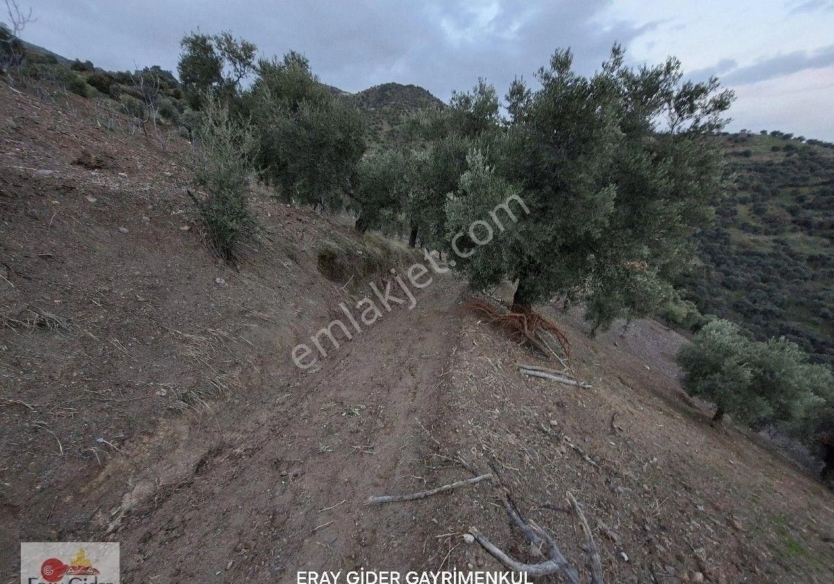 Manzaralı-komple Yol Cepheli Komple Bakımlı İncirlik - Görsel 20
