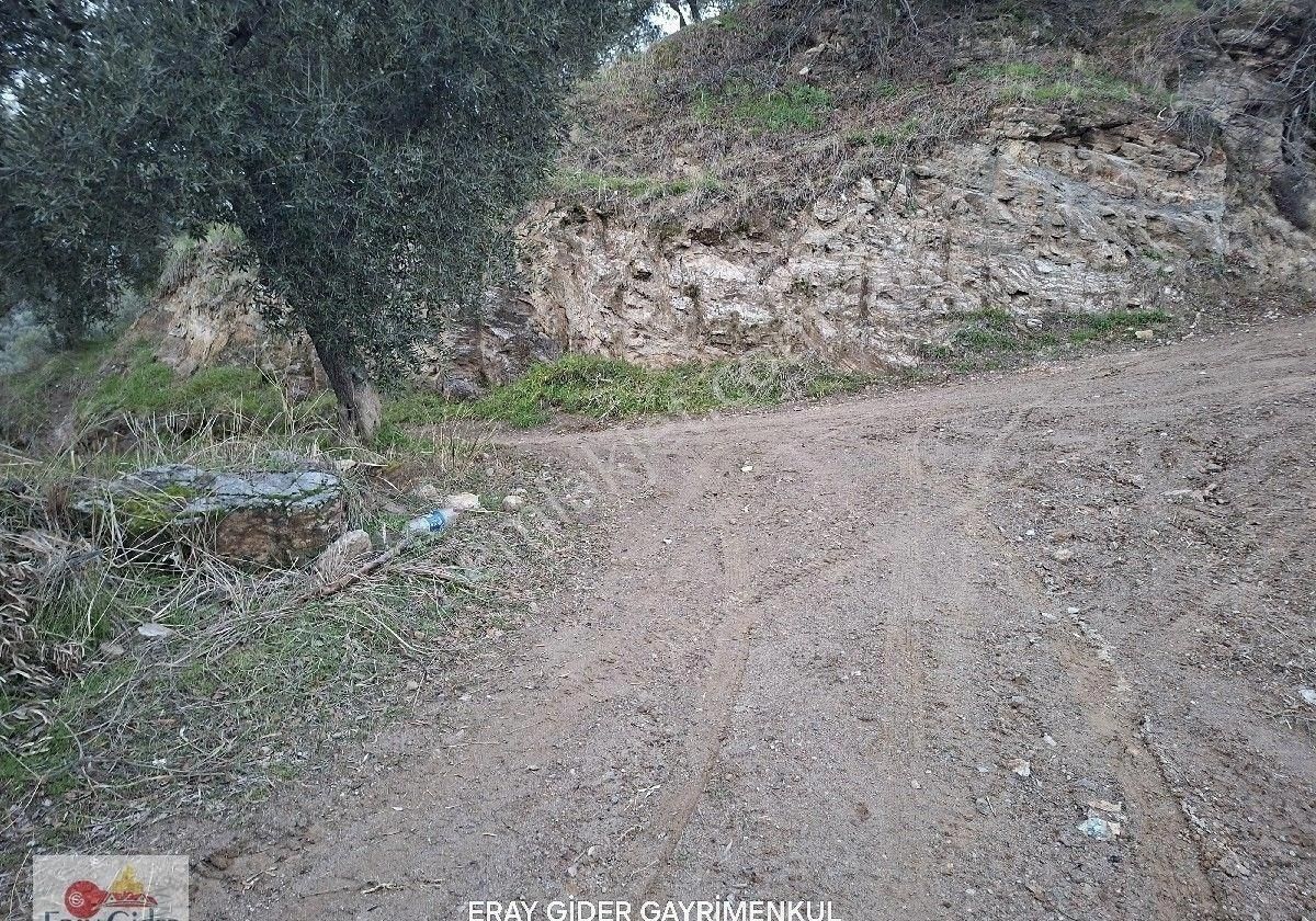 Manzaralı-komple Yol Cepheli Komple Bakımlı İncirlik - Görsel 13