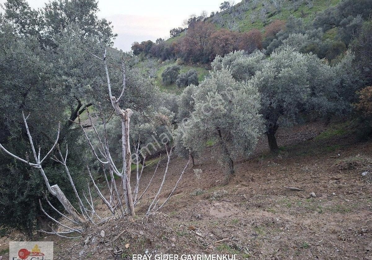 Manzaralı-komple Yol Cepheli Komple Bakımlı İncirlik - Görsel 28