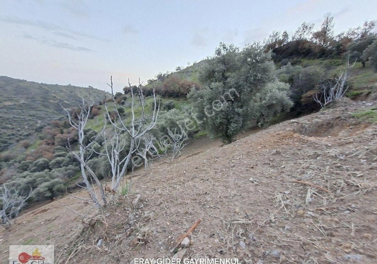 Manzaralı-komple Yol Cepheli Komple Bakımlı İncirlik - Görsel 7
