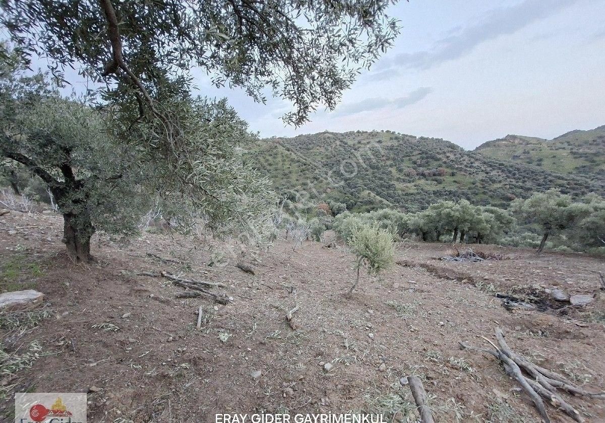 Manzaralı-komple Yol Cepheli Komple Bakımlı İncirlik - Görsel 10