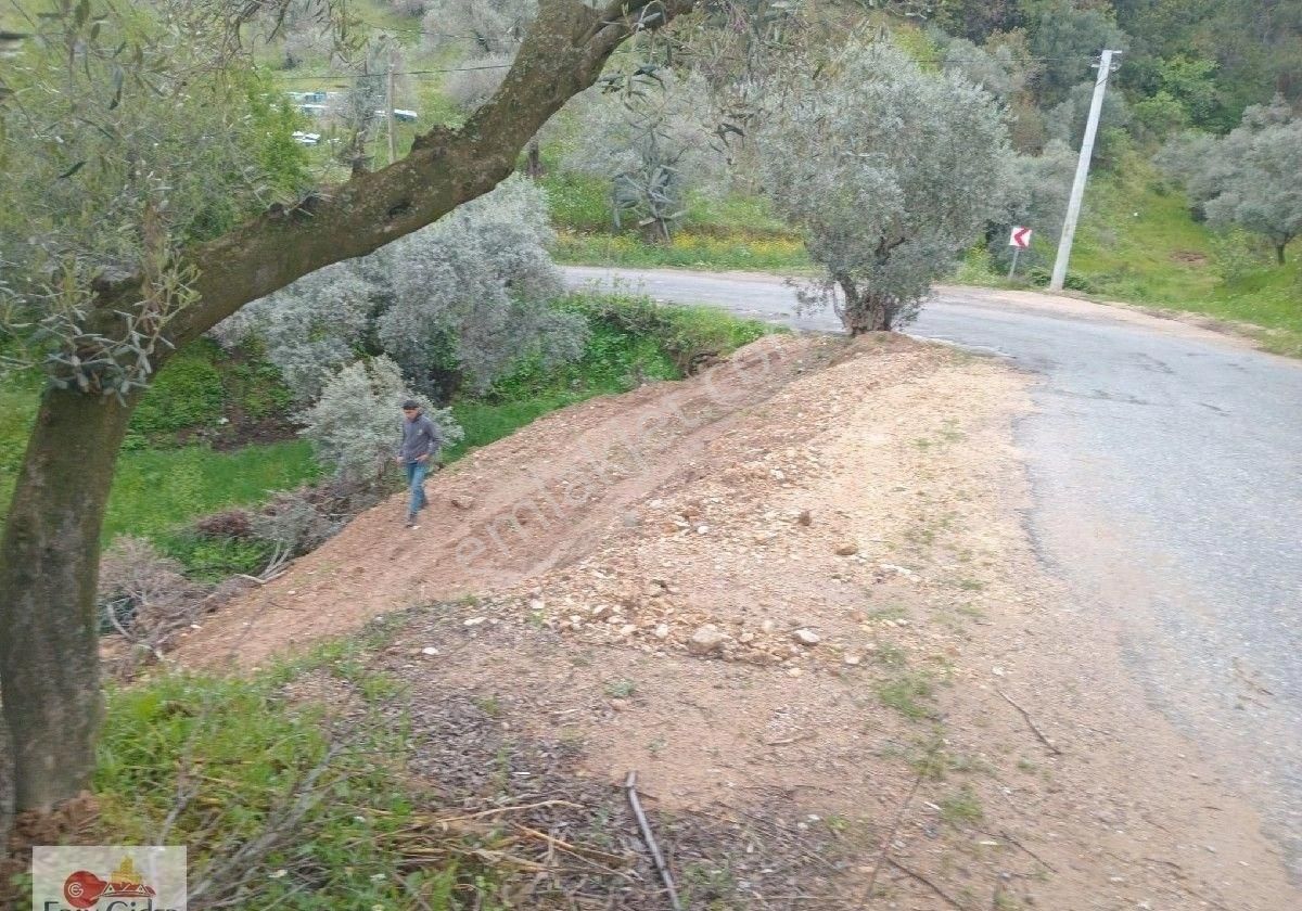 Ana Yol Kenarı Konteyner Al Gel Yerin Hazır. 150 M2 - Görsel 4