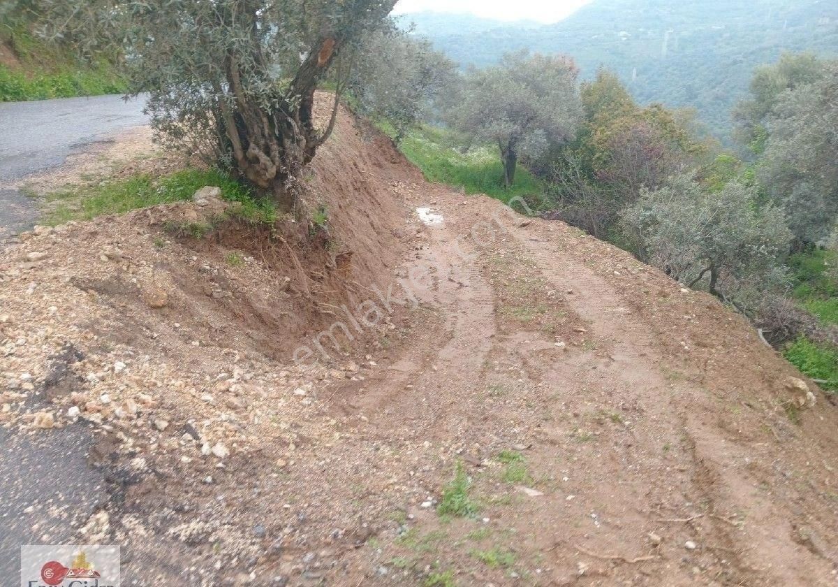 Ana Yol Kenarı Konteyner Al Gel Yerin Hazır. 150 M2 - Görsel 2