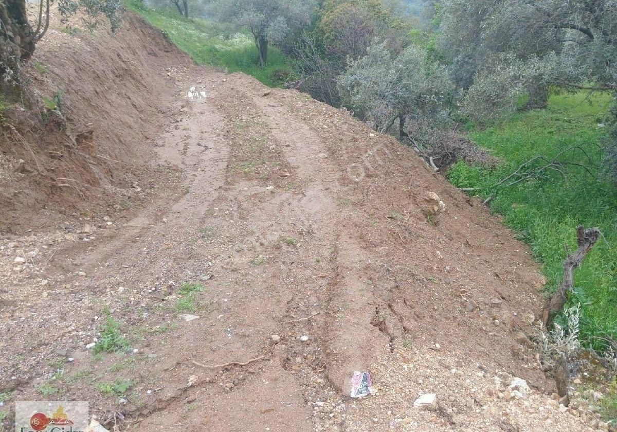 Ana Yol Kenarı Konteyner Al Gel Yerin Hazır. 150 M2 - Görsel 11