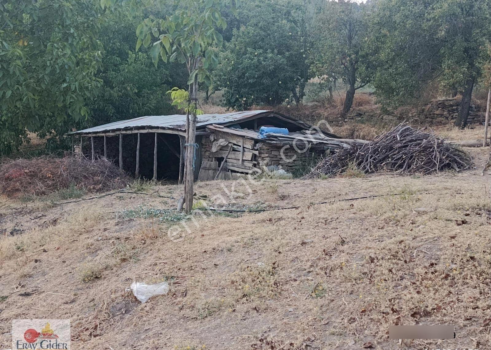 Terziler 27 Dönüm Arazi Artezyen Suyu Ve Havuzu - Görsel 14
