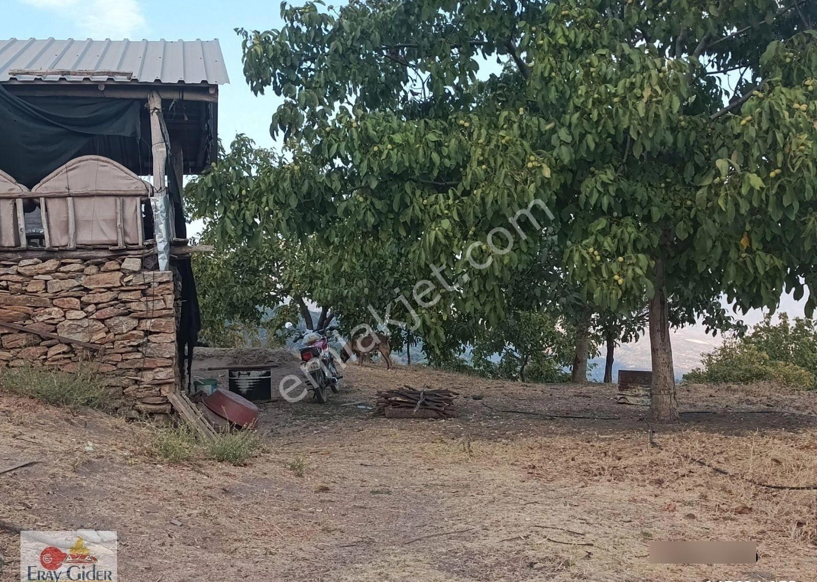 Terziler 27 Dönüm Arazi Artezyen Suyu Ve Havuzu - Görsel 29