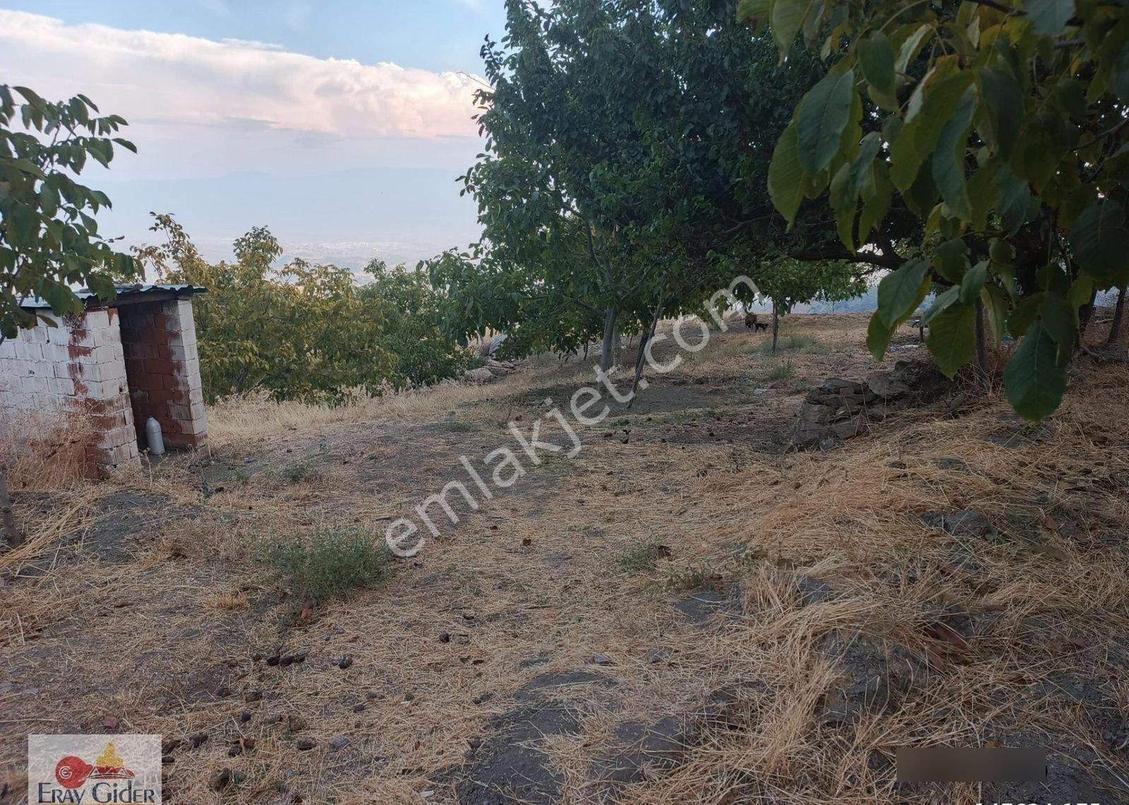 Terziler 27 Dönüm Arazi Artezyen Suyu Ve Havuzu - Görsel 20