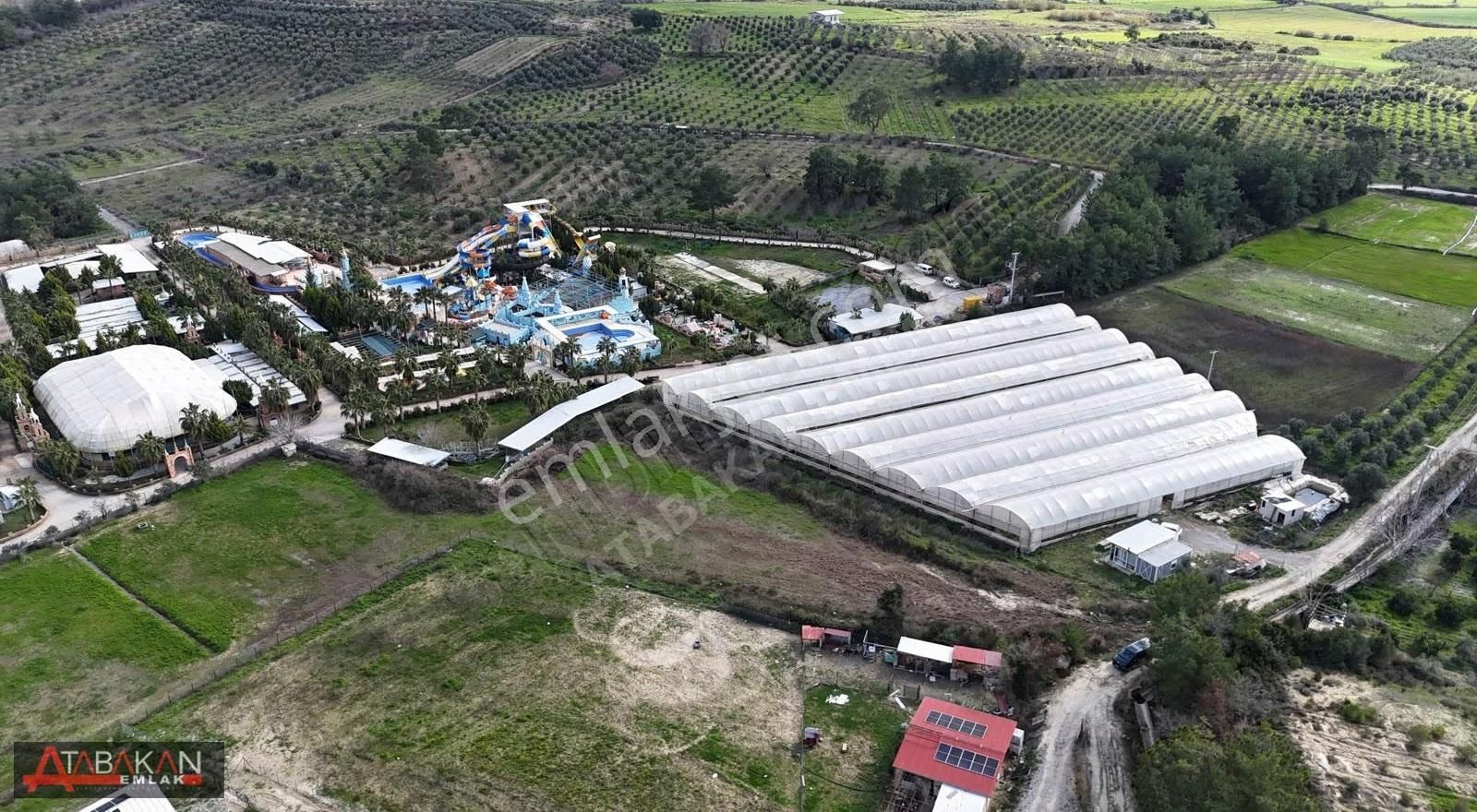 Çolaklı'da 2.840m2 Satılık Tarla - Görsel 2