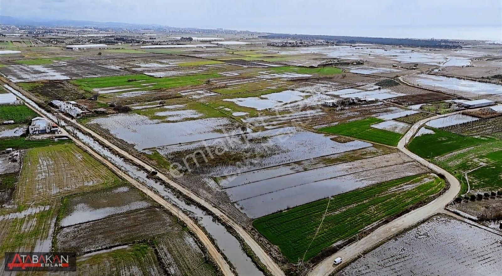 Ulualan Demircilerde 3 Adet Ayrı Müstakil Tapulu Satılık Tarla !