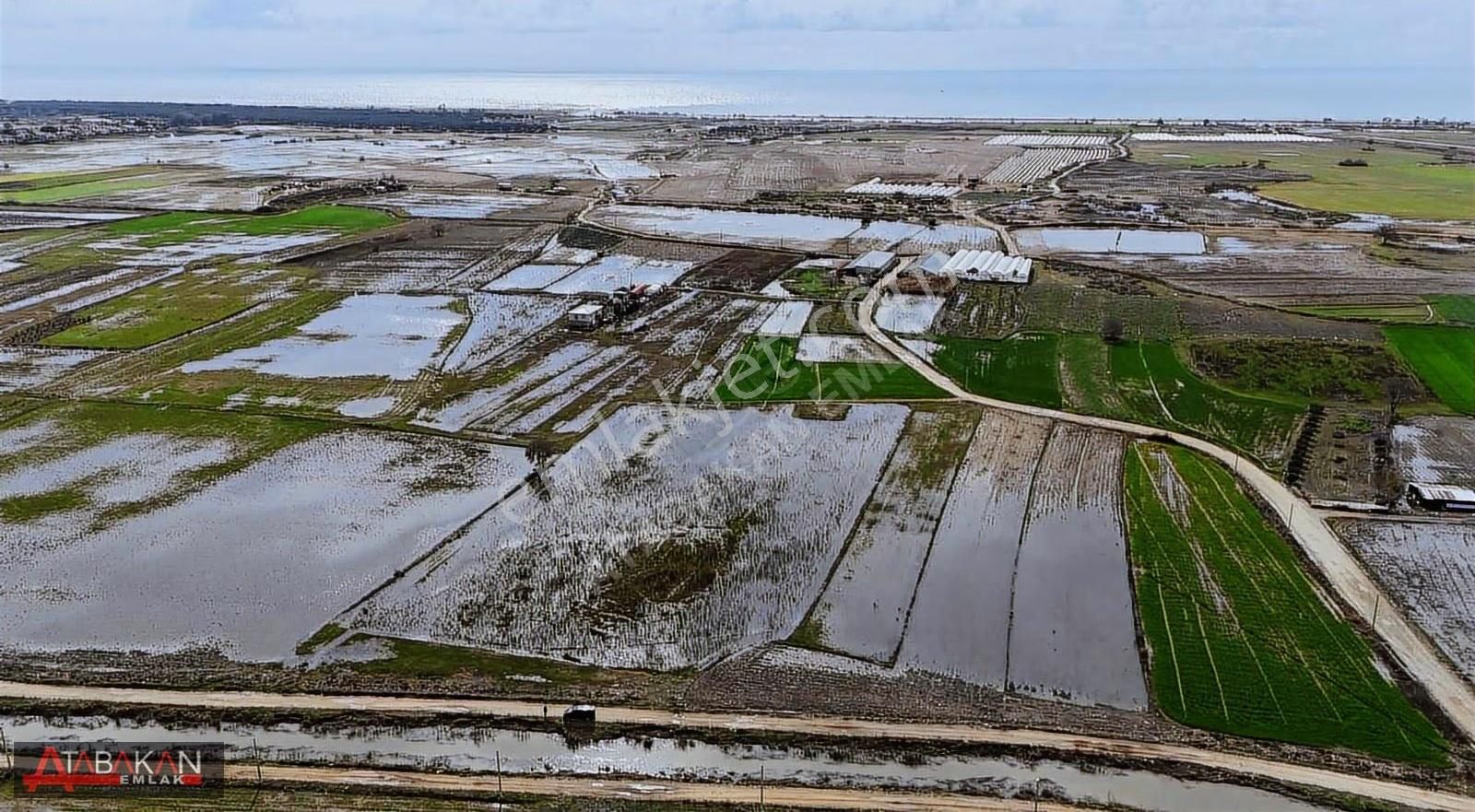 Ulualan Demircilerde 3 Adet Ayrı Müstakil Tapulu Satılık Tarla ! - Görsel 4