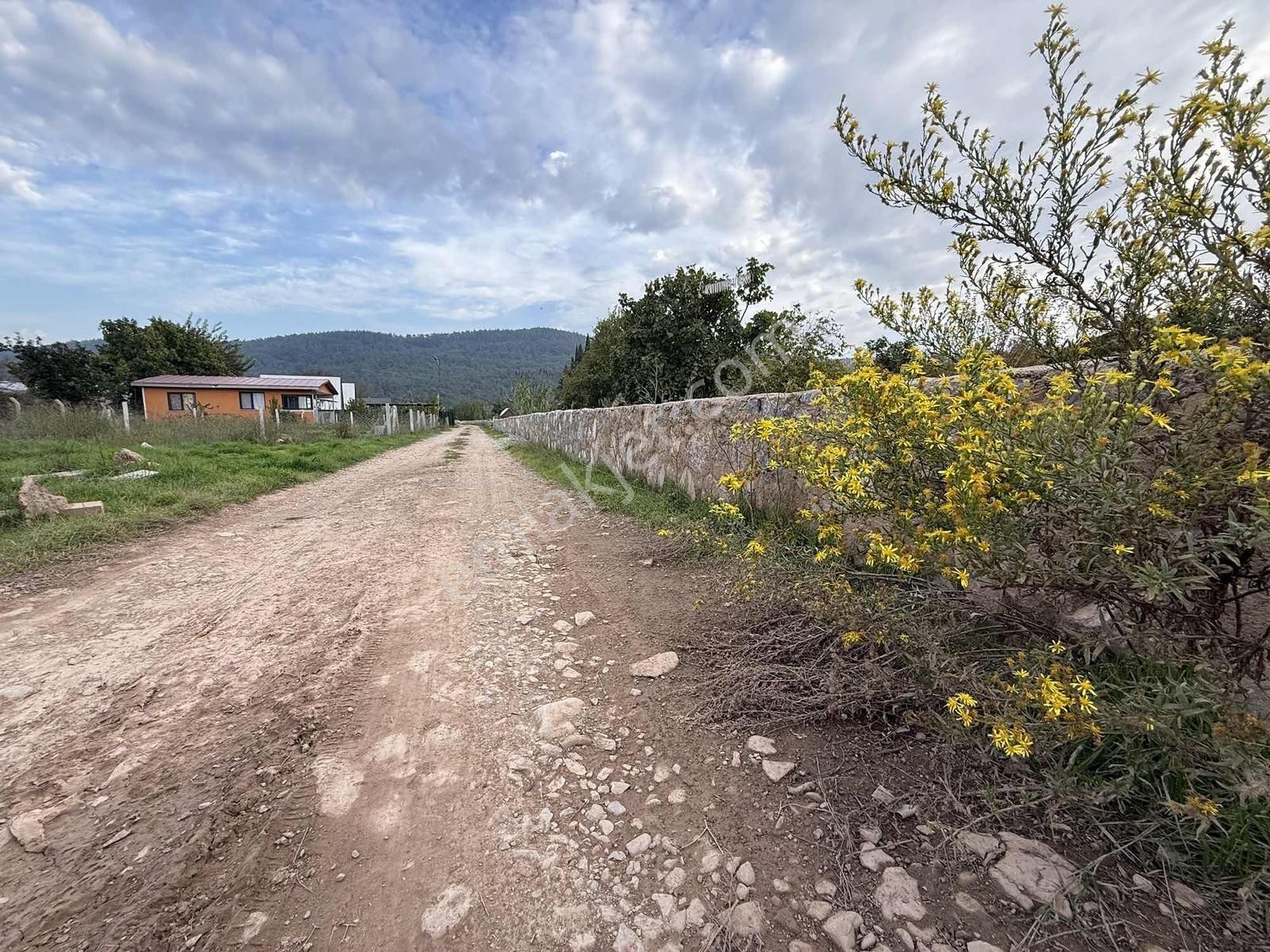 Bal Gayrimenkul-menderes Yeniköy'de Cadde Üzeri 300m2 Bahçeler - Görsel 14