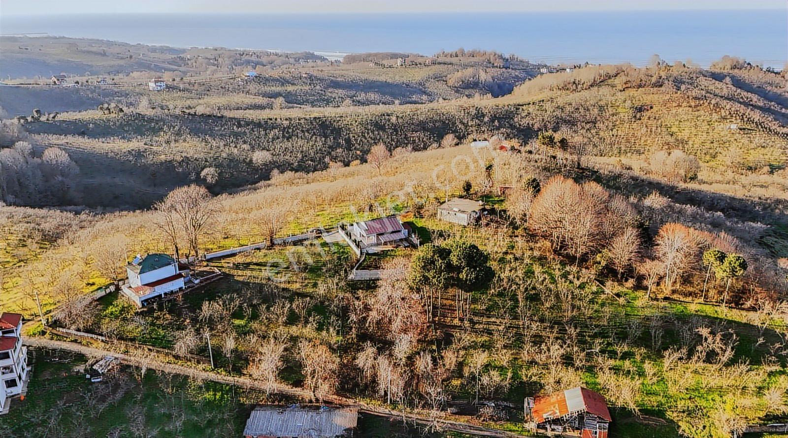 Akçakoca Hasançavuş'da 1175 M2 Arsa İçerisinde 2+1 Prefabrik - Görsel 6