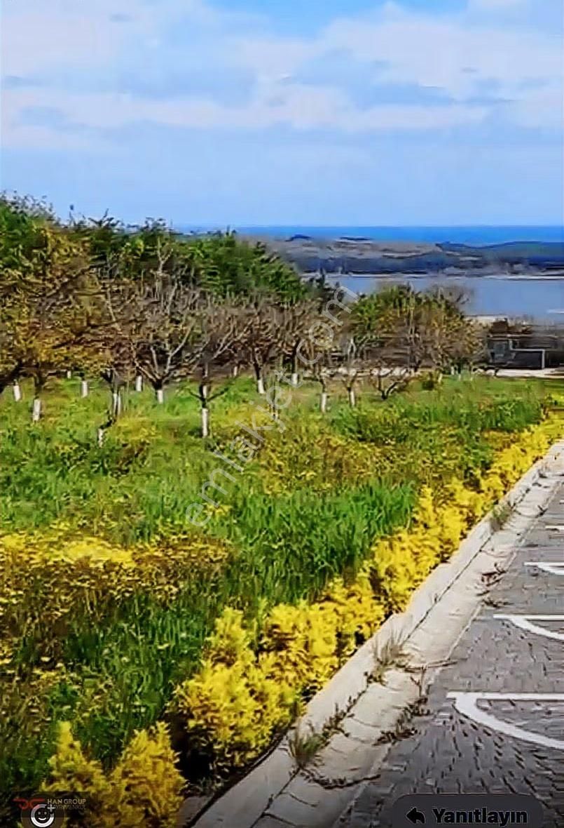 Çatalca Celepli'de 12 Dönüm Arazimiz Satılıktır - Görsel 3