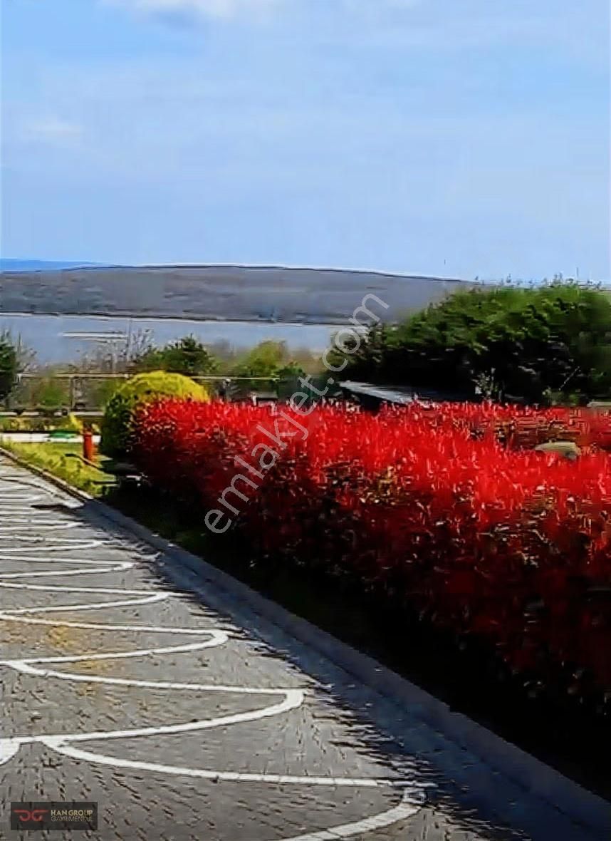 Çatalca Celepli'de 12 Dönüm Arazimiz Satılıktır - Görsel 6