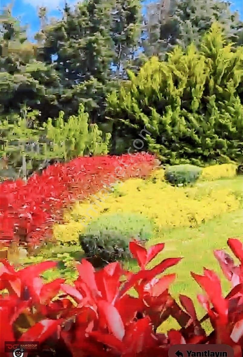 Çatalca Celepli'de 12 Dönüm Arazimiz Satılıktır - Görsel 2