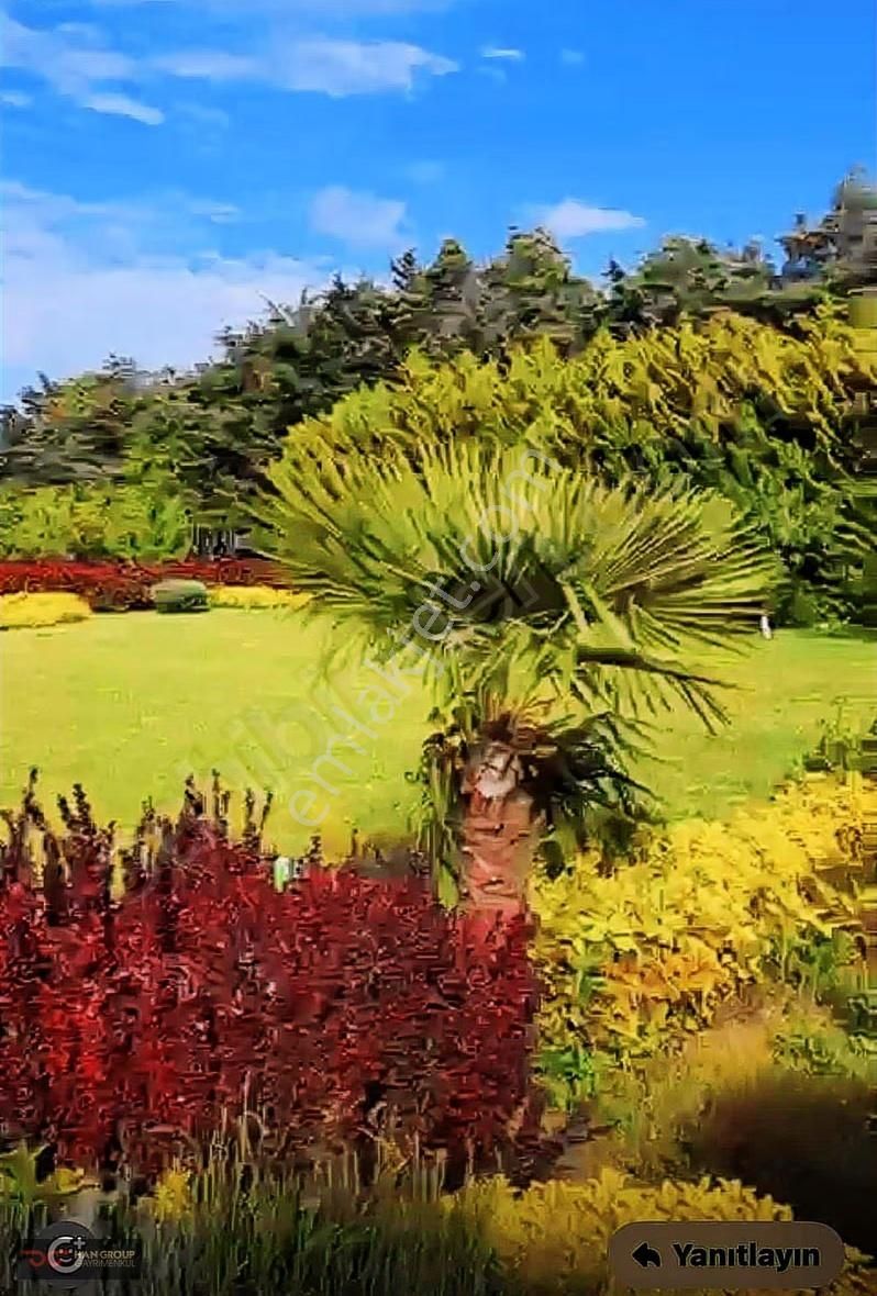 Çatalca Celepli'de 12 Dönüm Arazimiz Satılıktır - Görsel 10