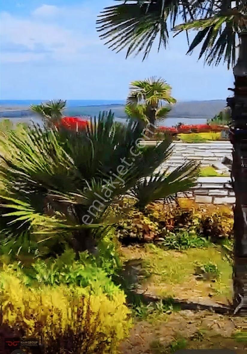 Çatalca Celepli'de 12 Dönüm Arazimiz Satılıktır - Görsel 9