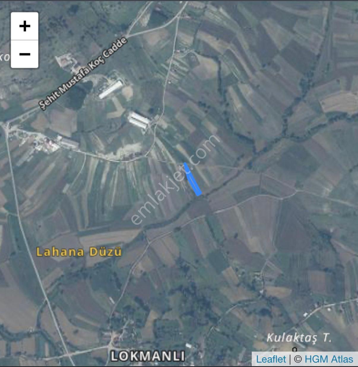 Acil Satılık Tarla Kocaeli Kandıra Balcı Mah. - Görsel 2