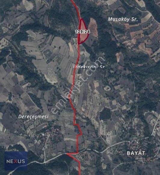 Bilecik Gölpazarı 13.625 M² Satılık Ceviz Bahçesi - Görsel 3
