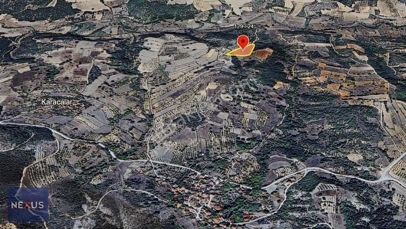 Bilecik Gölpazarı 13.625 M² Satılık Ceviz Bahçesi - Görsel 4