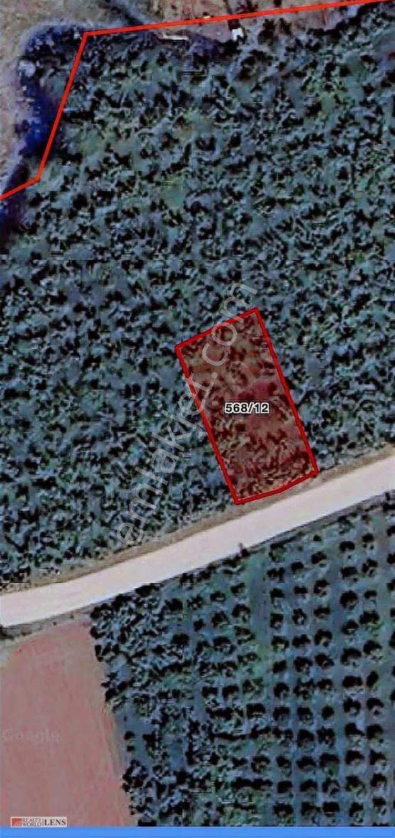Gölyaka Yazlık Mahallesinde İmarlı 477m2 Arsa - Görsel 10