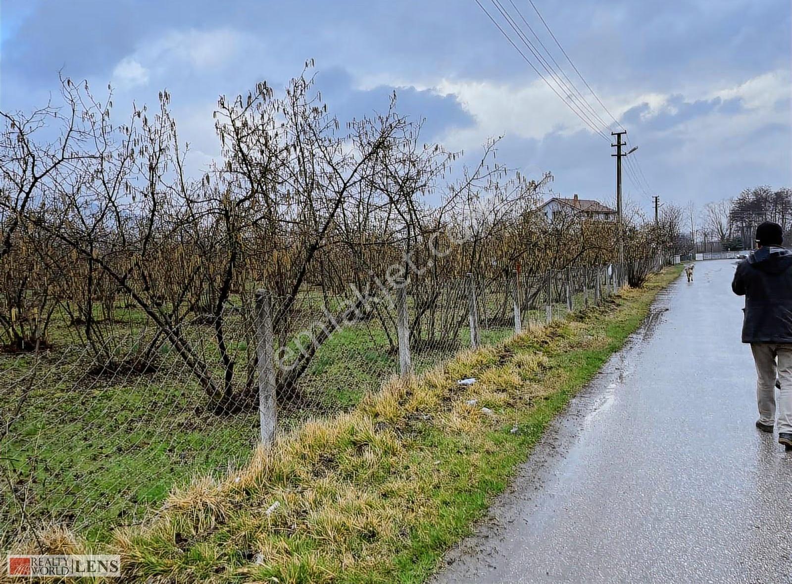 Gölyaka Yazlık Mahallesinde İmarlı 477m2 Arsa