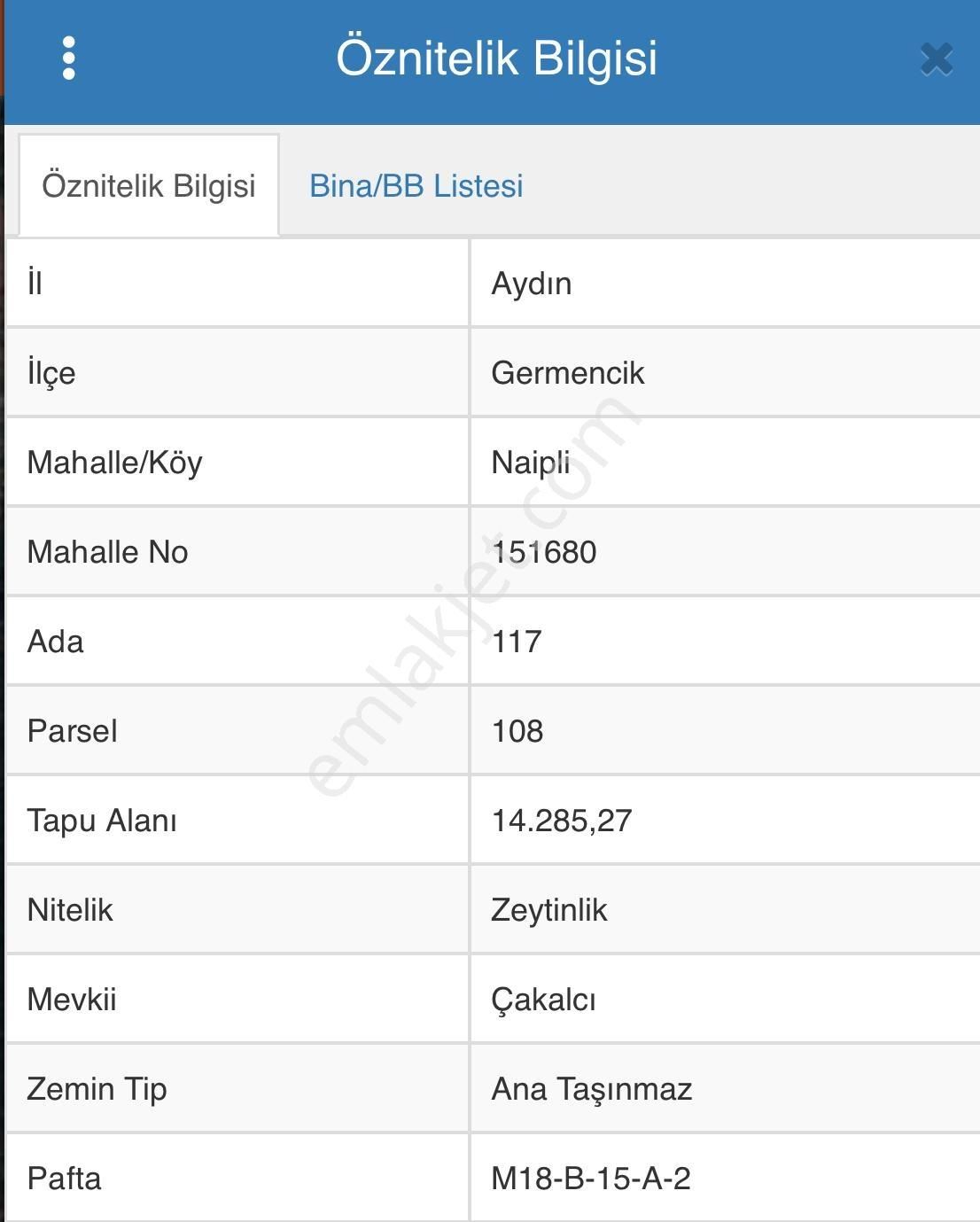 Aydın Germencik Naipli' De 14.285 M2 Satılık Zeytinlik - Görsel 9