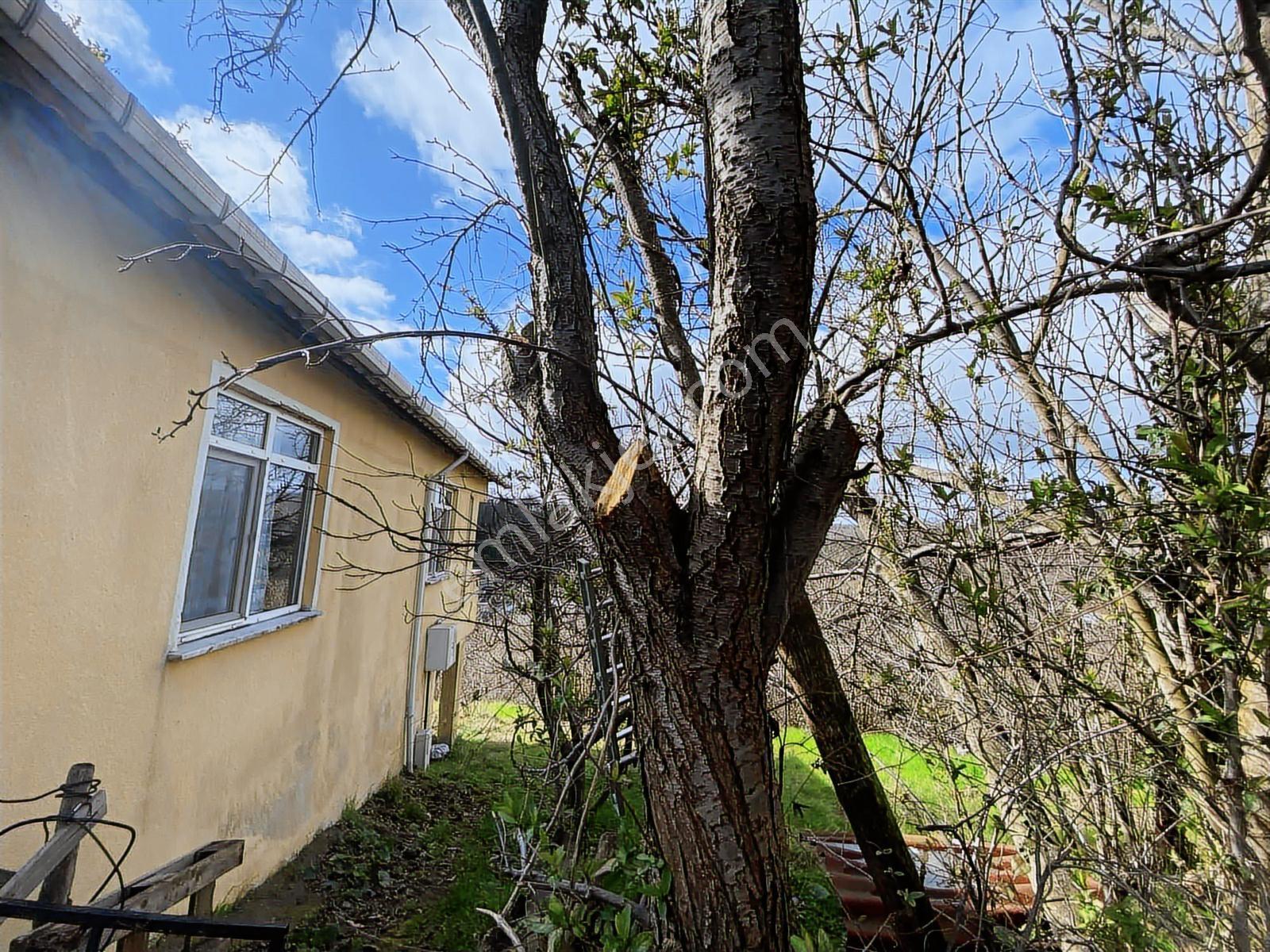 Turyap'tan Beykoz Anadolu Feneri'nde İmarlı Arsa Ve Müstakil Ev - Görsel 15