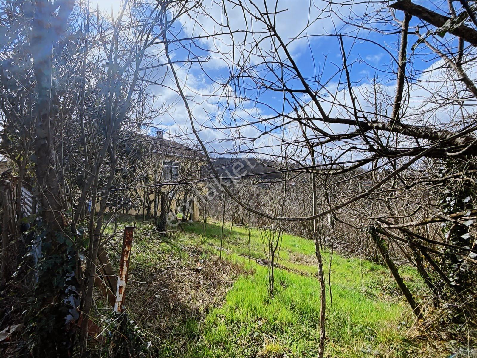 Turyap'tan Beykoz Anadolu Feneri'nde İmarlı Arsa Ve Müstakil Ev - Görsel 16