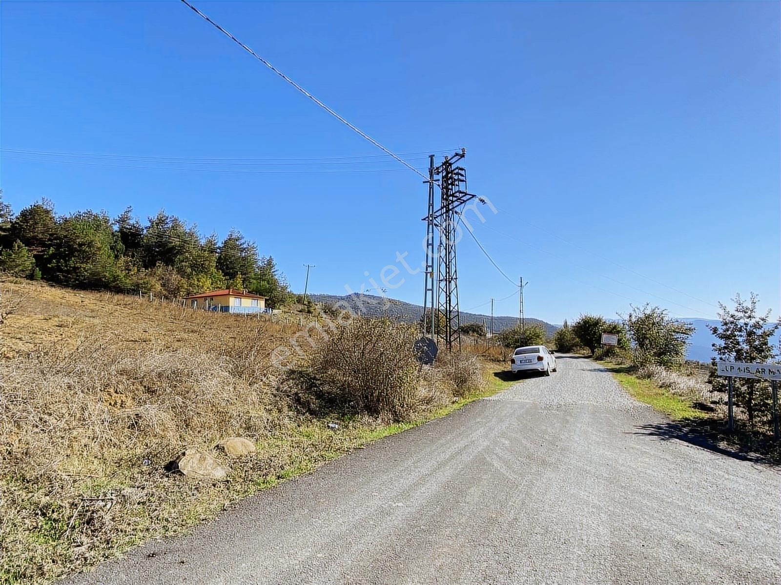 Acil! Karacaören Köy İçi Asvalta Cephe 400 M2 Satılık Tarla