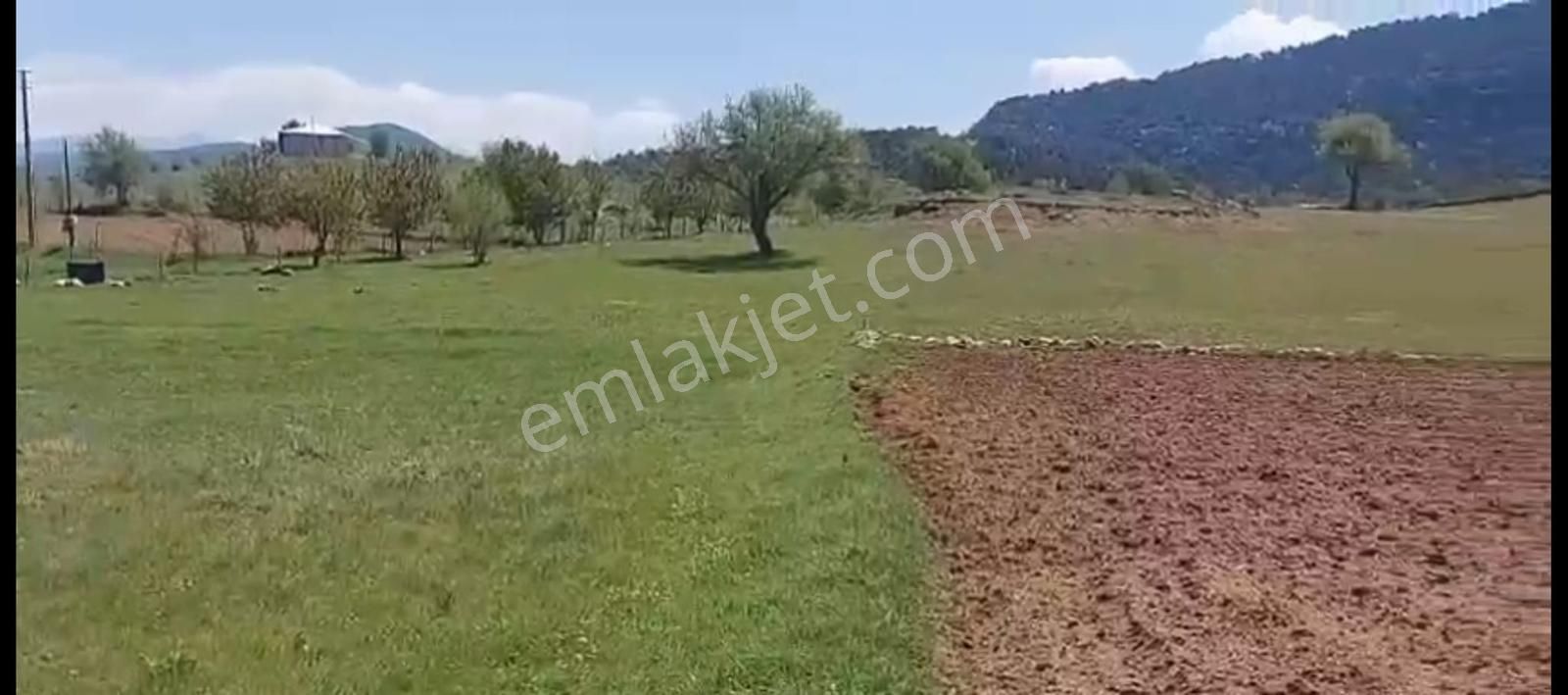 Stop'tan Yayla Ceylanda Göl Manzaralı Arazi
