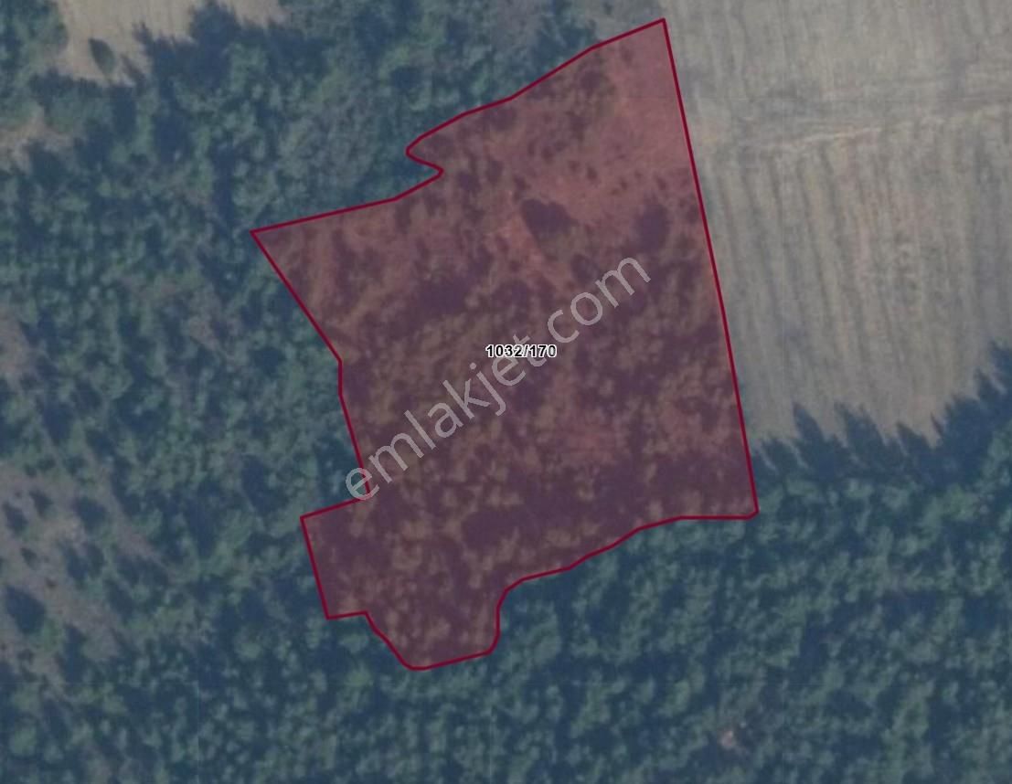 Geyve Kozan'da Full Göl Manzaralı 7600m2 Satılık Tarla - Görsel 4