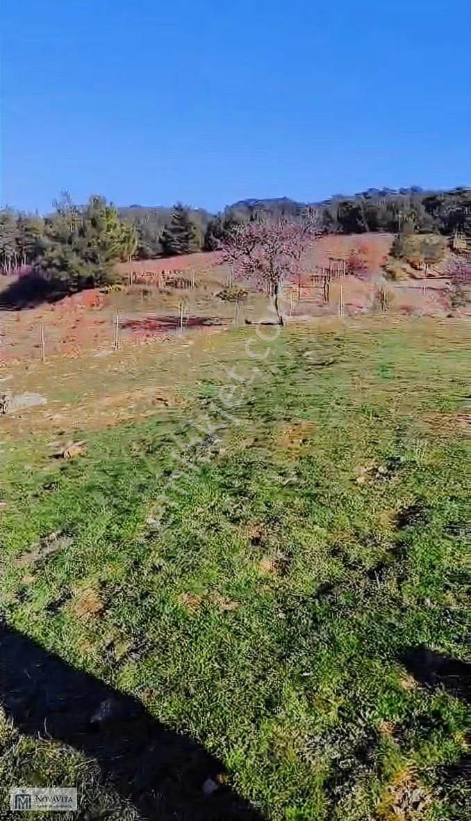 Seferihisarda 16 Dönüm Satılık Tek Tapu Fırsat Arsa - Görsel 16