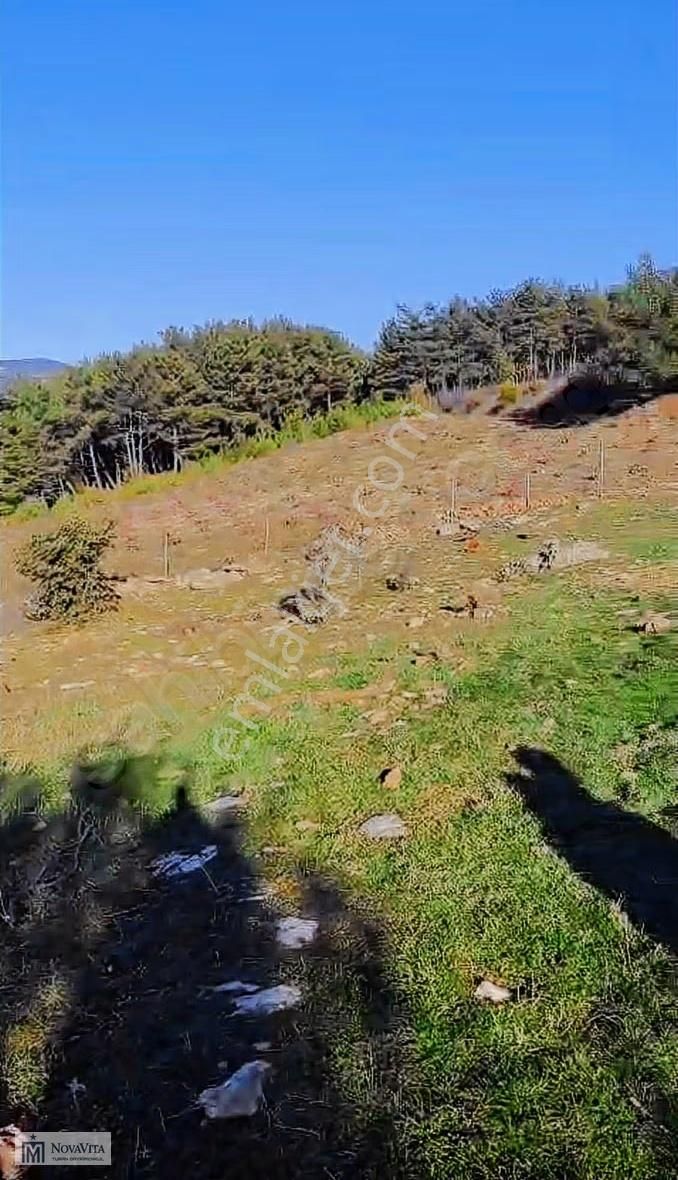 Seferihisarda 16 Dönüm Satılık Tek Tapu Fırsat Arsa - Görsel 5