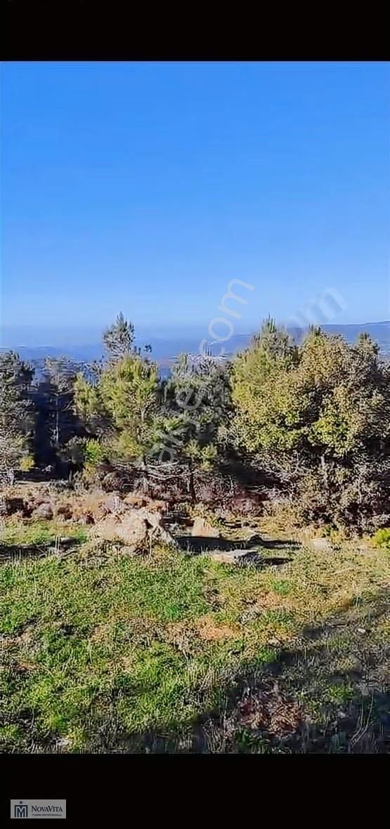 Seferihisarda 16 Dönüm Satılık Tek Tapu Fırsat Arsa - Görsel 8