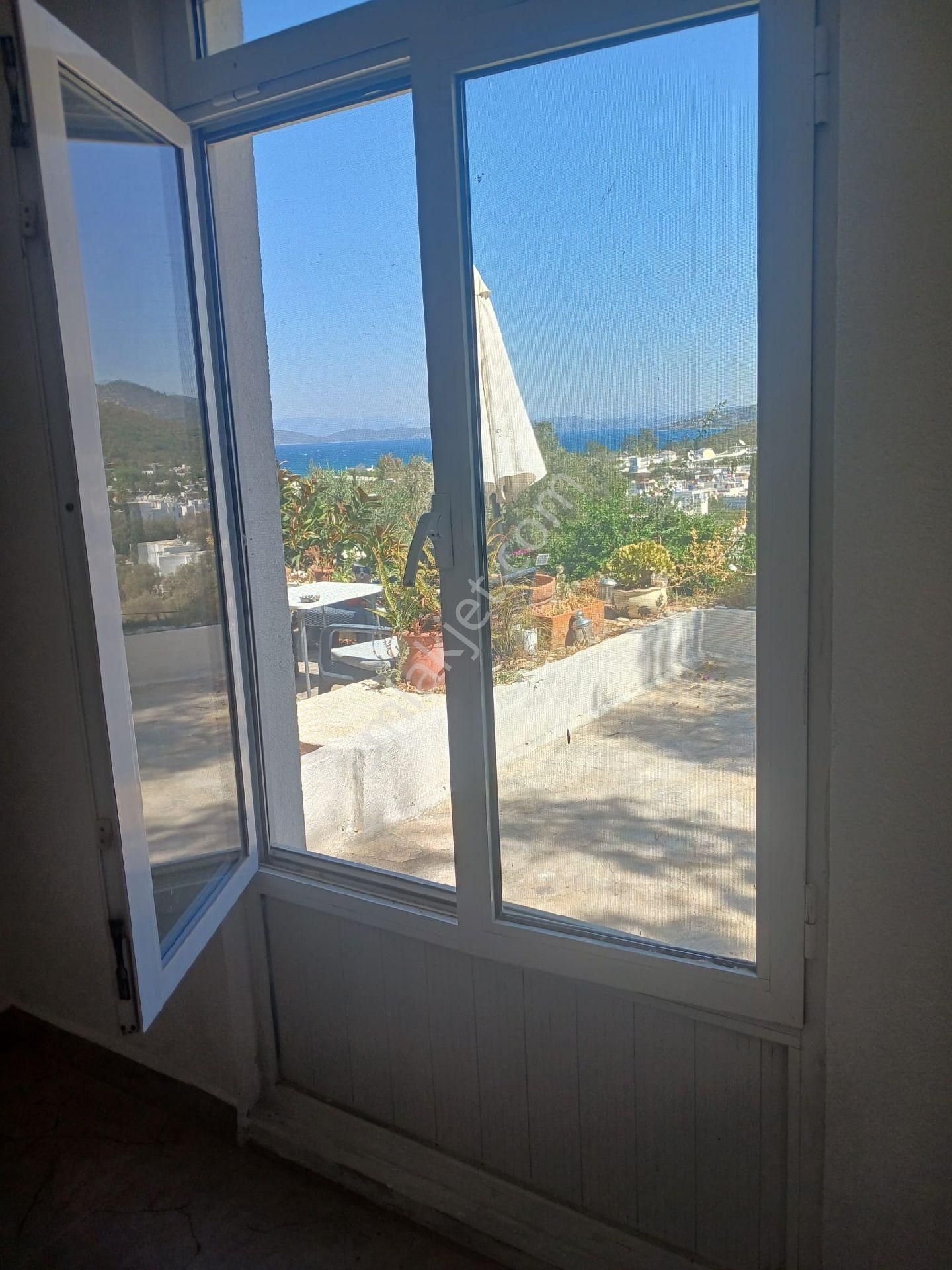 1+1 Deniz Man - Görsel 5