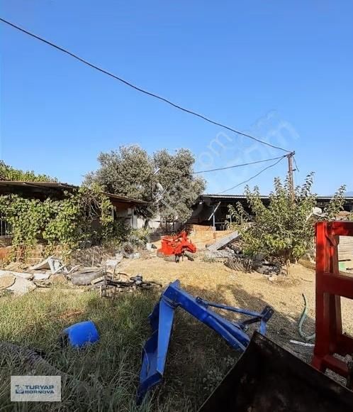 Turyap'tan Nazilli Arslanlı Cumhuriyet Mah. Satılık 2700m2 Tarla - Görsel 2