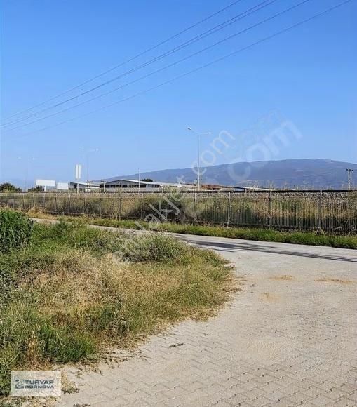 Turyap'tan Nazilli Arslanlı Cumhuriyet Mah. Satılık 2700m2 Tarla - Görsel 4