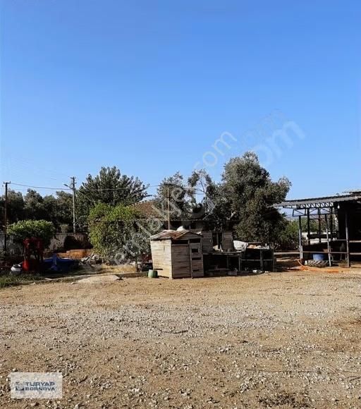 Turyap'tan Nazilli Arslanlı Cumhuriyet Mah. Satılık 2700m2 Tarla - Görsel 3