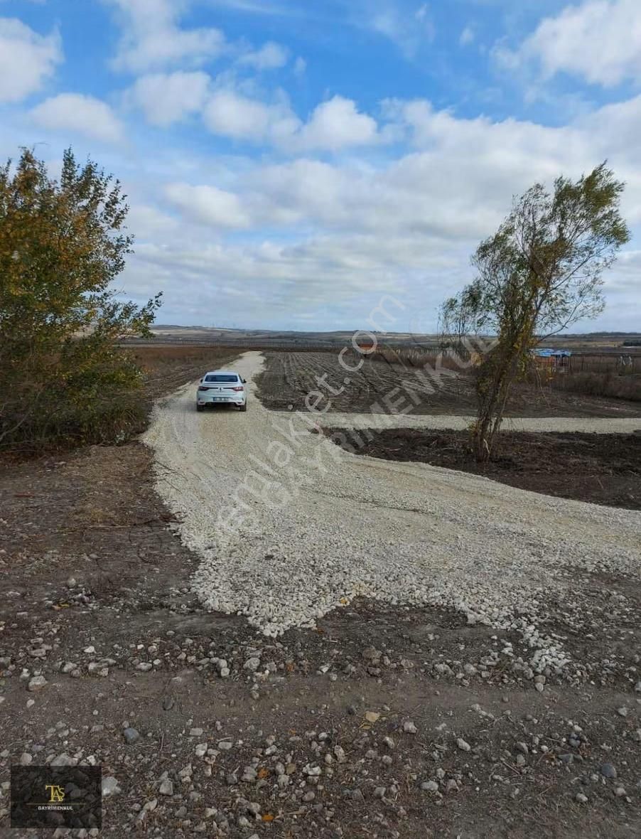 Çatalca Merkez Ferhatpaşa Mah Satılık 1327m2. Resmi Tapulu - Görsel 6