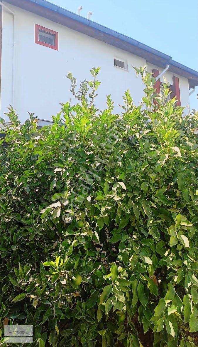 Taşucu Kum Mah. 3+1 Denize 350 Mt Mesafede Fırsat - Görsel 13