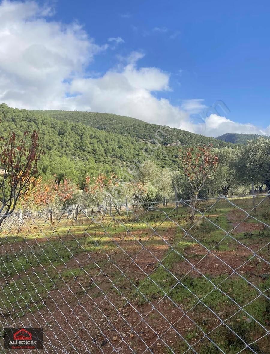 Kemalpaşa Damlacık"ta Yaz Kış İkamet Eden Komşulara Sahip Bahçe - Görsel 5
