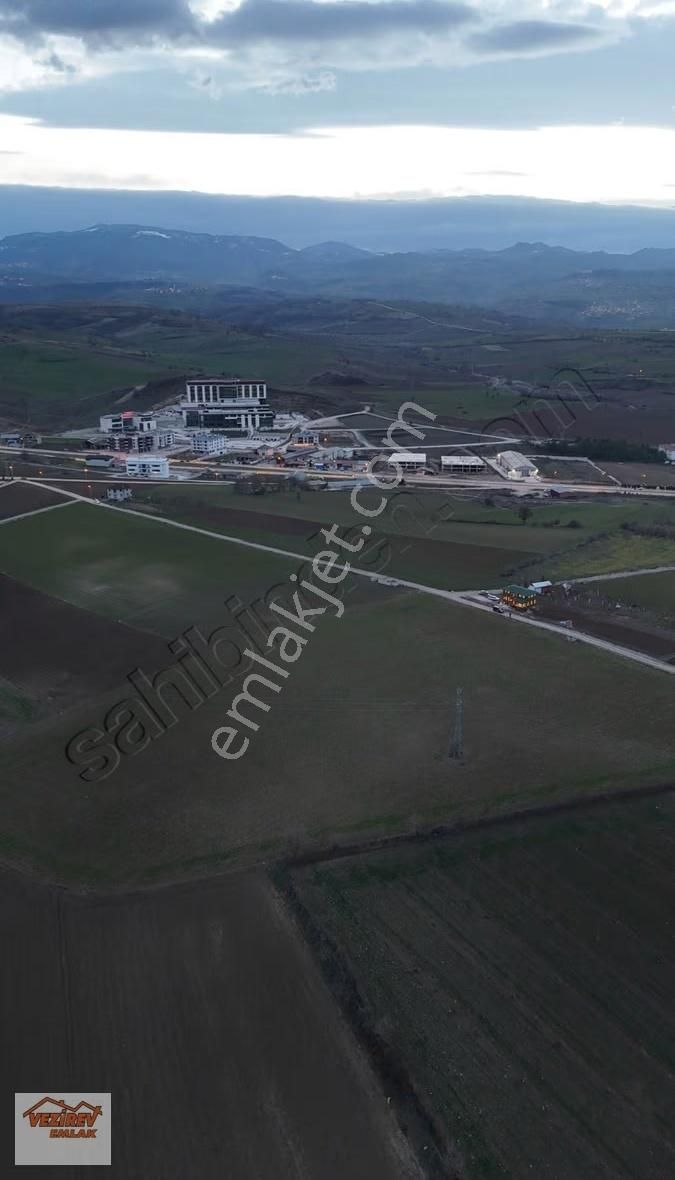Vezirev Emlak'tan Hastane Bölgesi Yatırımlık Fırsat Tarla - Görsel 3