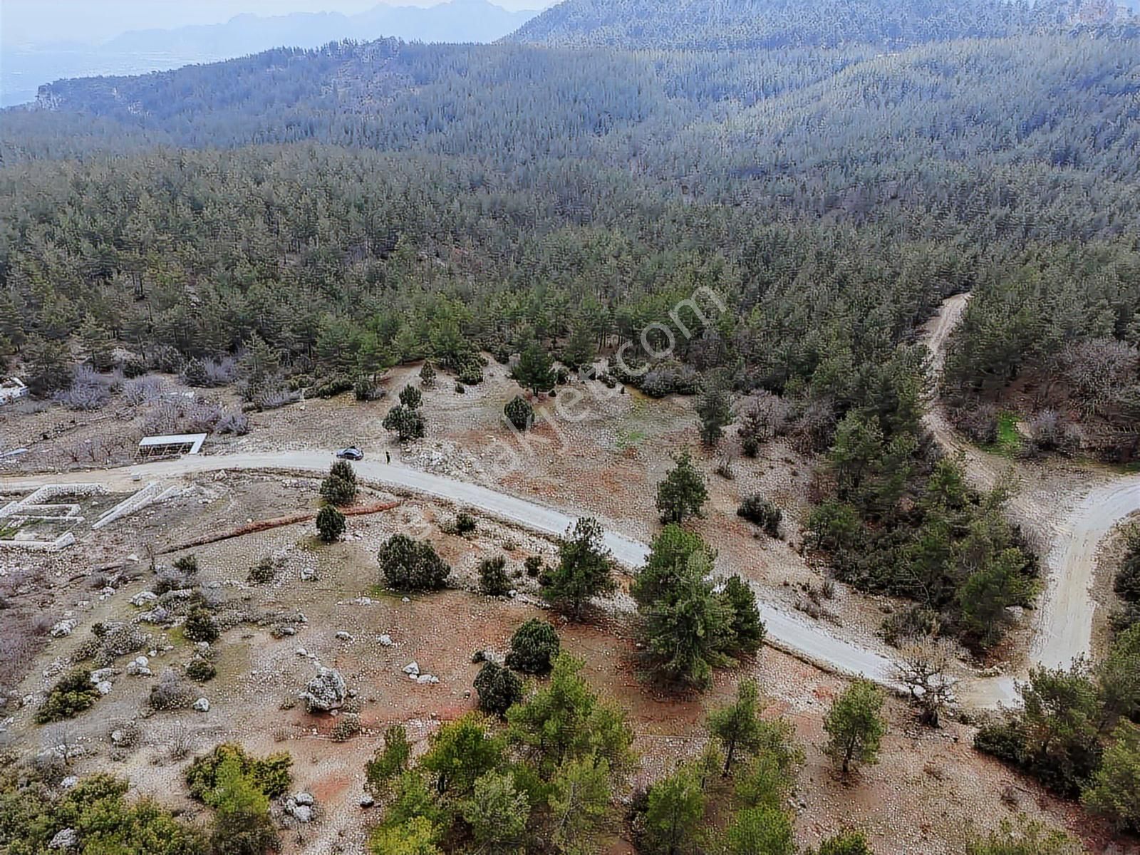 Antalya Doyranda 10 Dönüm Satılık Tarla - Görsel 5