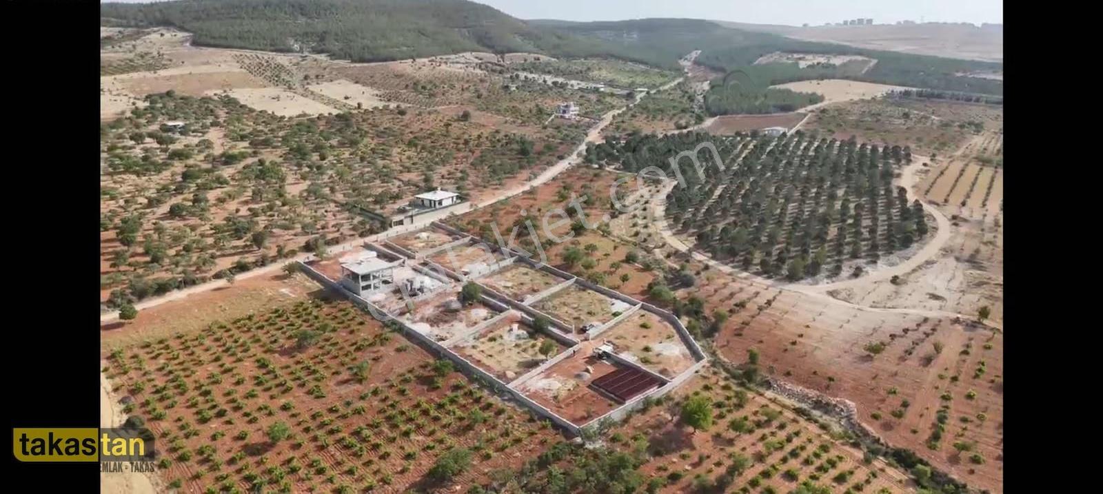 Subogaz Mah De Bağ Evi Yapmaya Uygun Satılık Bag Evlik Arazi - Görsel 2