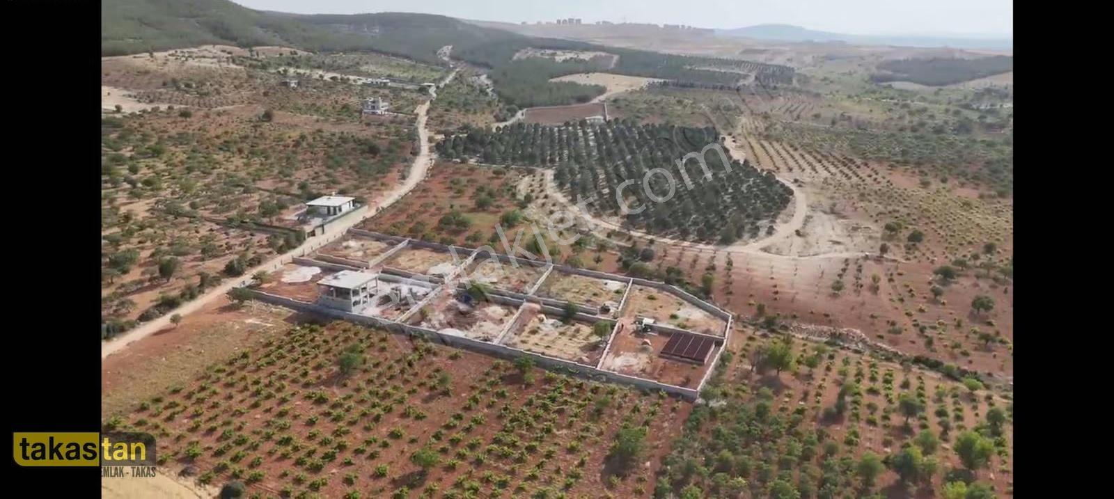 Subogaz Mah De Bağ Evi Yapmaya Uygun Satılık Bag Evlik Arazi - Görsel 7